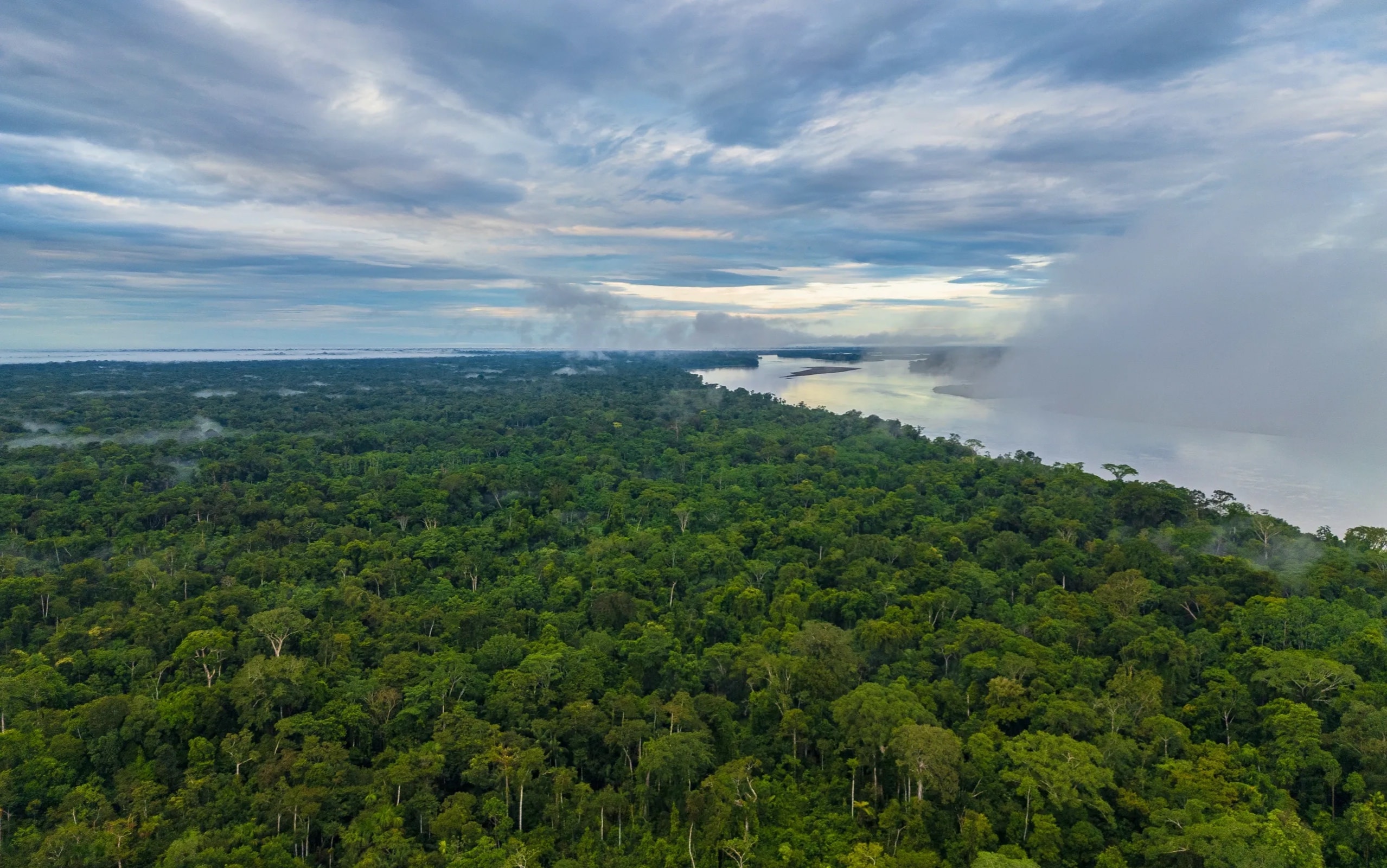 Amazon rainforest river aerial Brazil