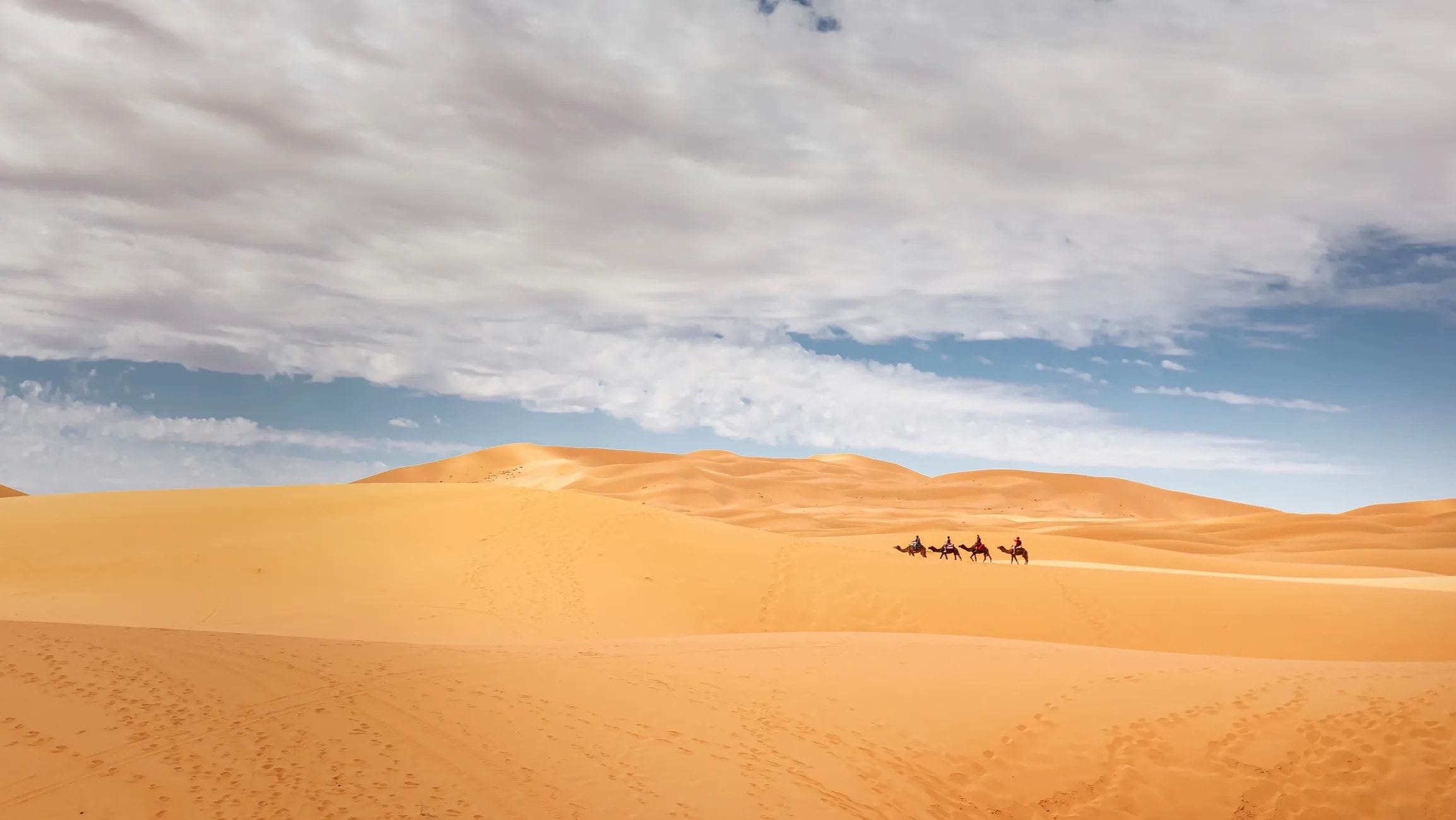 Sahara desert dunes sunset Morocco